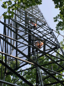 Climbers going up the US-UMB tower, which is in the middle of a mixed conifer-hardwood forest in northern Michigan.
