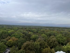 A beautiful above-canopy view from the Hainich national park